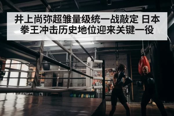 boxer training gym